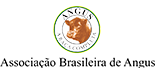 Angus Brasil